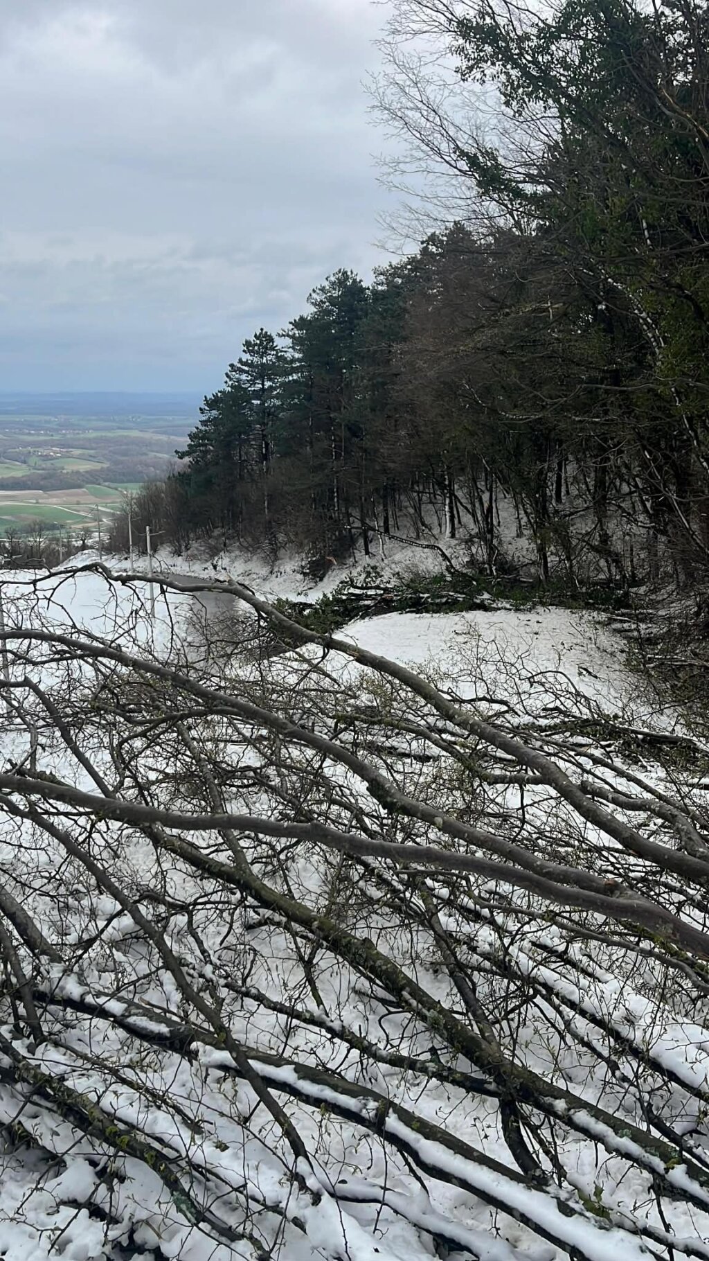 63f2a907 Ba1e 4030 93f4 14f8cfd431e1