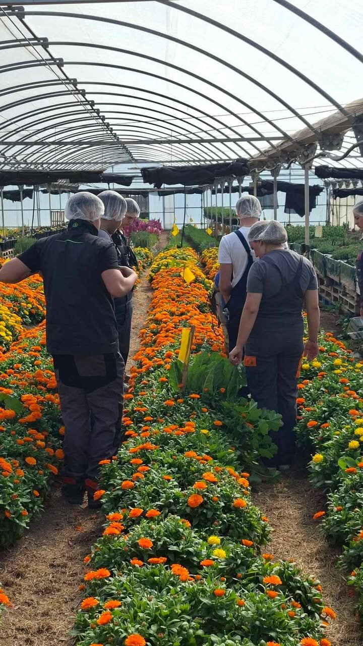 647305424 1330184425811415 499379544234541266 N