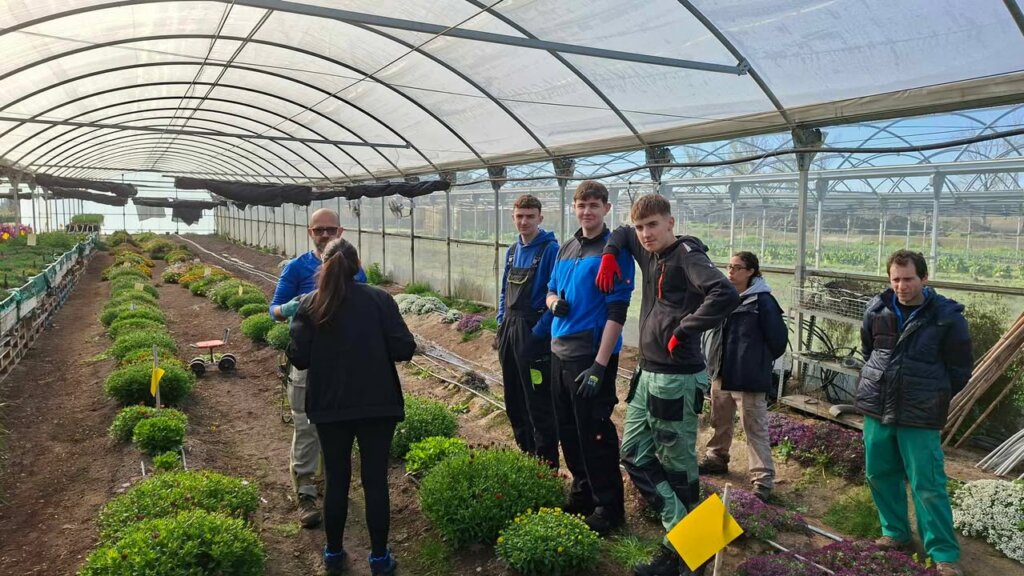 647346438 26623981390533321 5316009344389566531 N