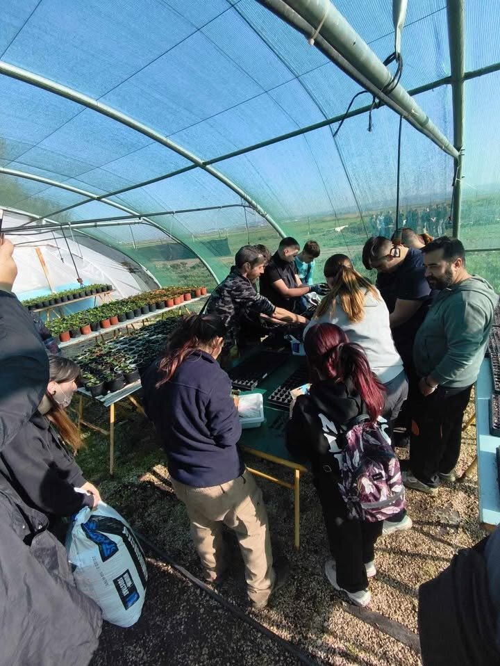 649160453 26523693283928901 2963332532399990051 N