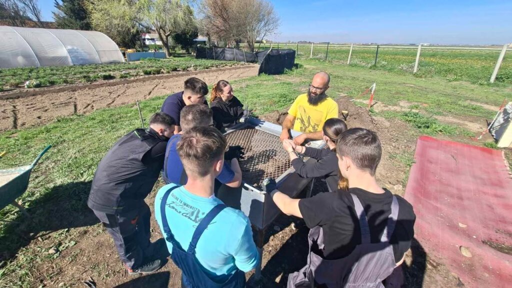 650026461 4329257033983131 1888181390777292827 N