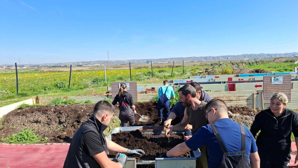 650725456 1625764652080171 4213950273858338393 N