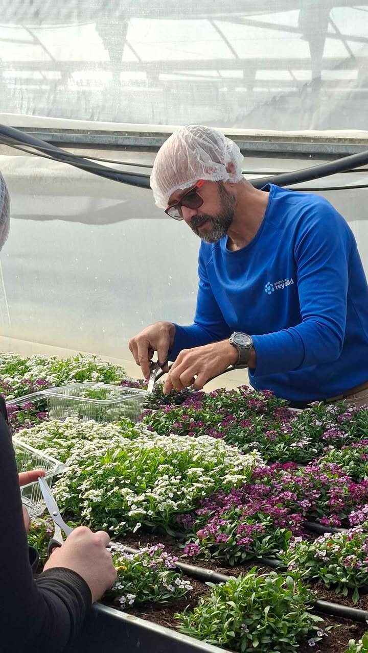 650779612 1466858912121350 4529437235827379062 N