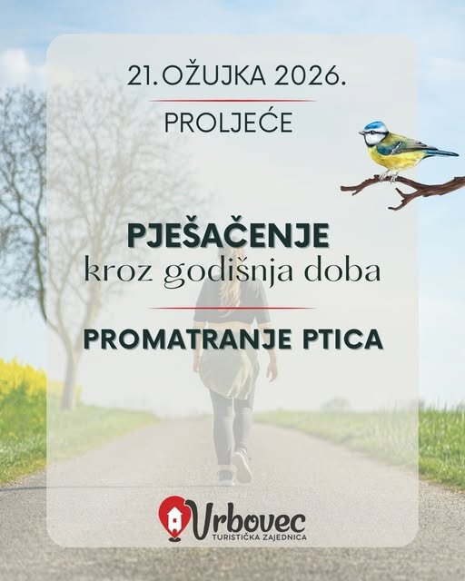 651225874 1510049444458164 619563090214673534 N