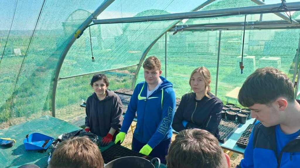 651963659 909865998618478 2773887354353817957 N