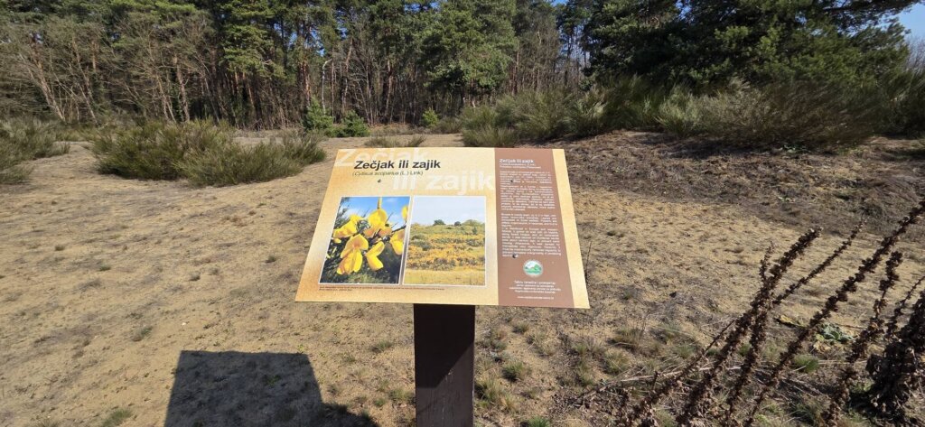 652823292 1239649568255341 1417141712429665268 N