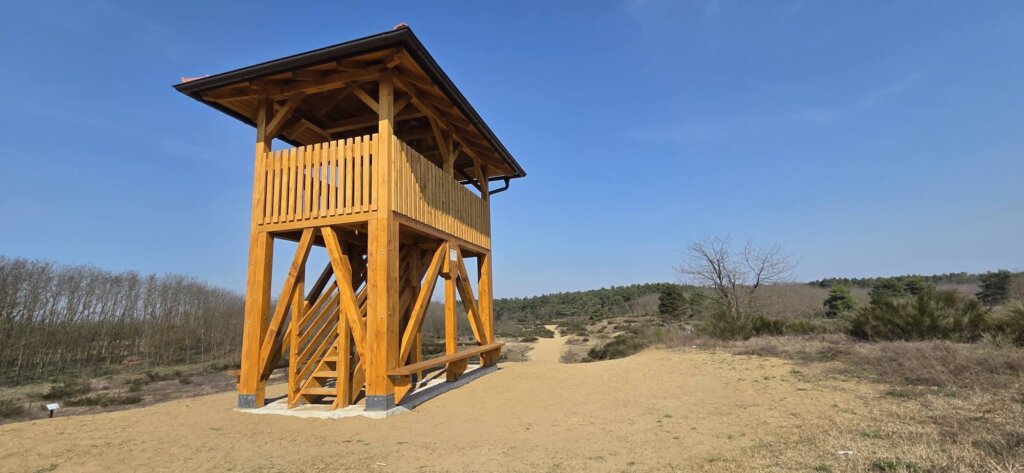 653851224 1239649214922043 8255629432334892792 N