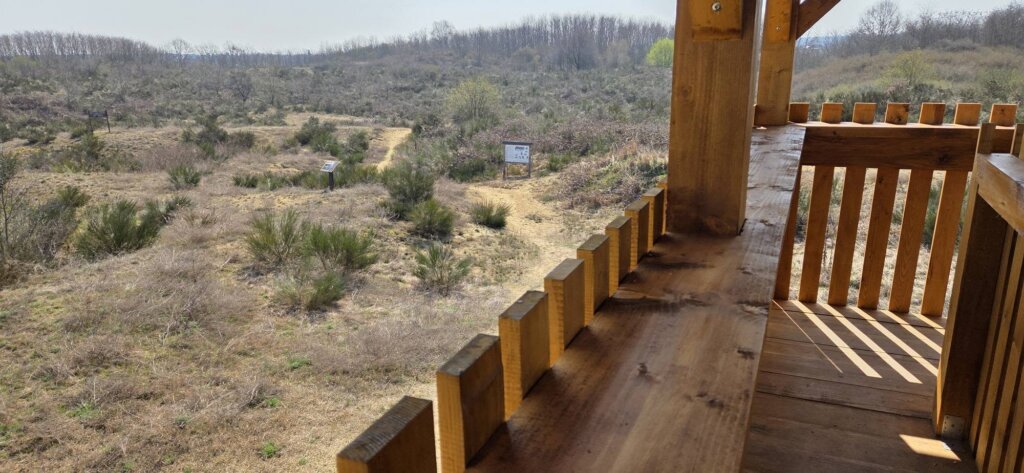 653917450 1239649248255373 6421403740054064491 N