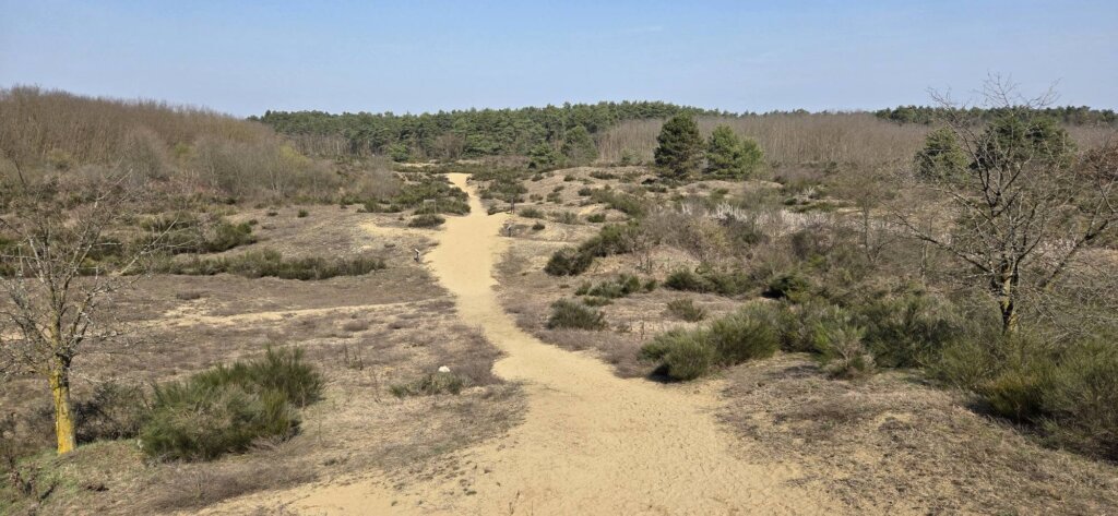 653924613 1239649184922046 6338068421337951667 N