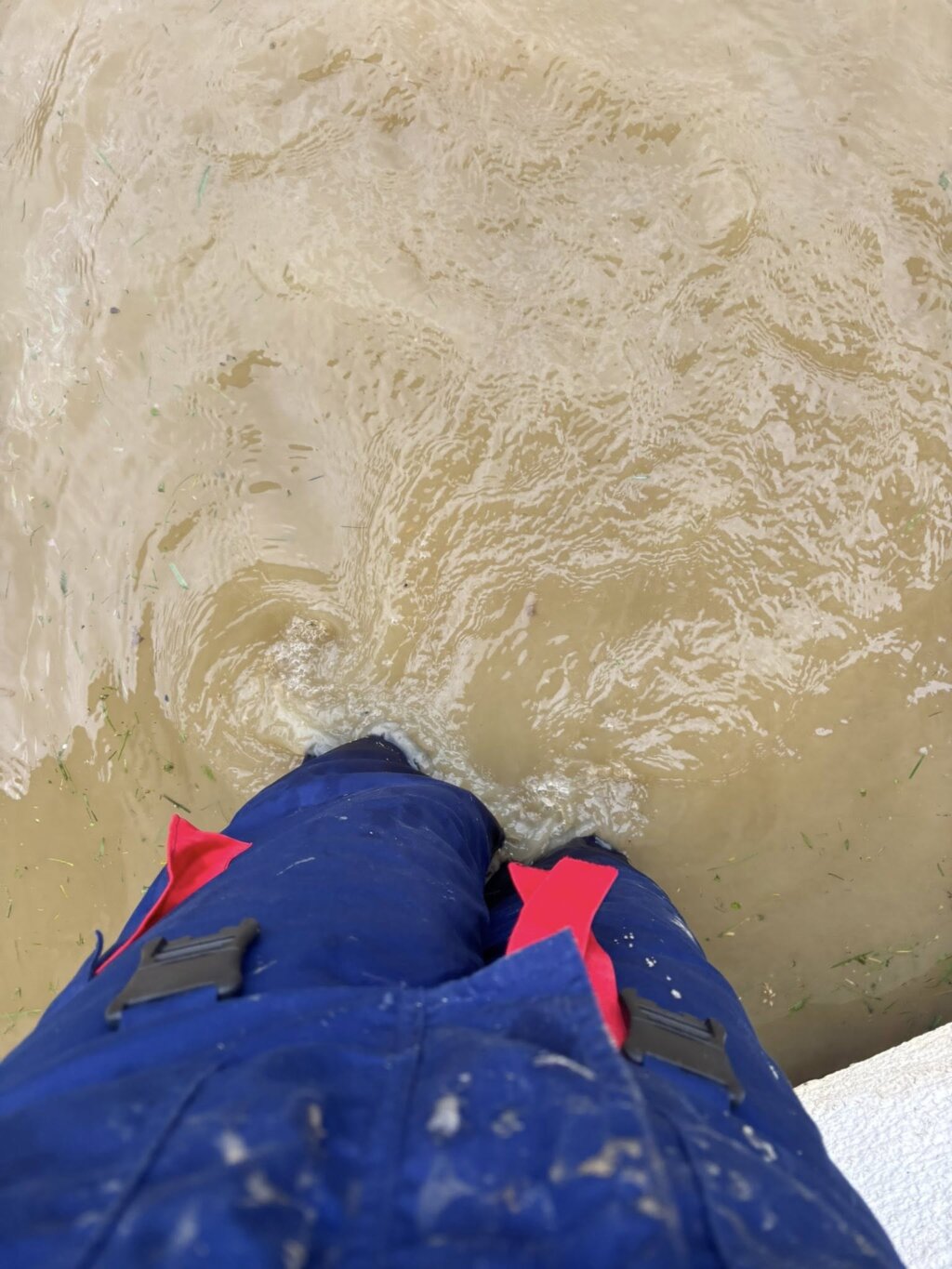 655007147 122103890924982397 2473166551399583007 N