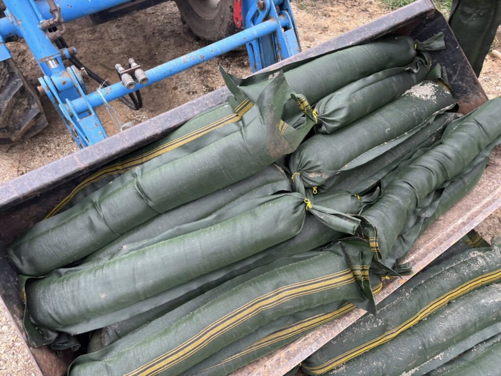 656628436 122103890624982397 5170303765157305694 N