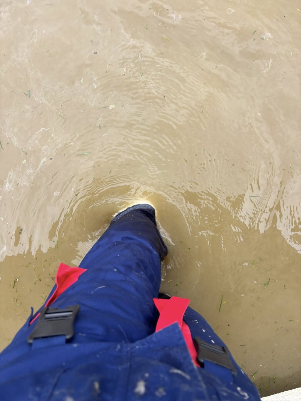 656946442 122103890756982397 6283782628351090124 N