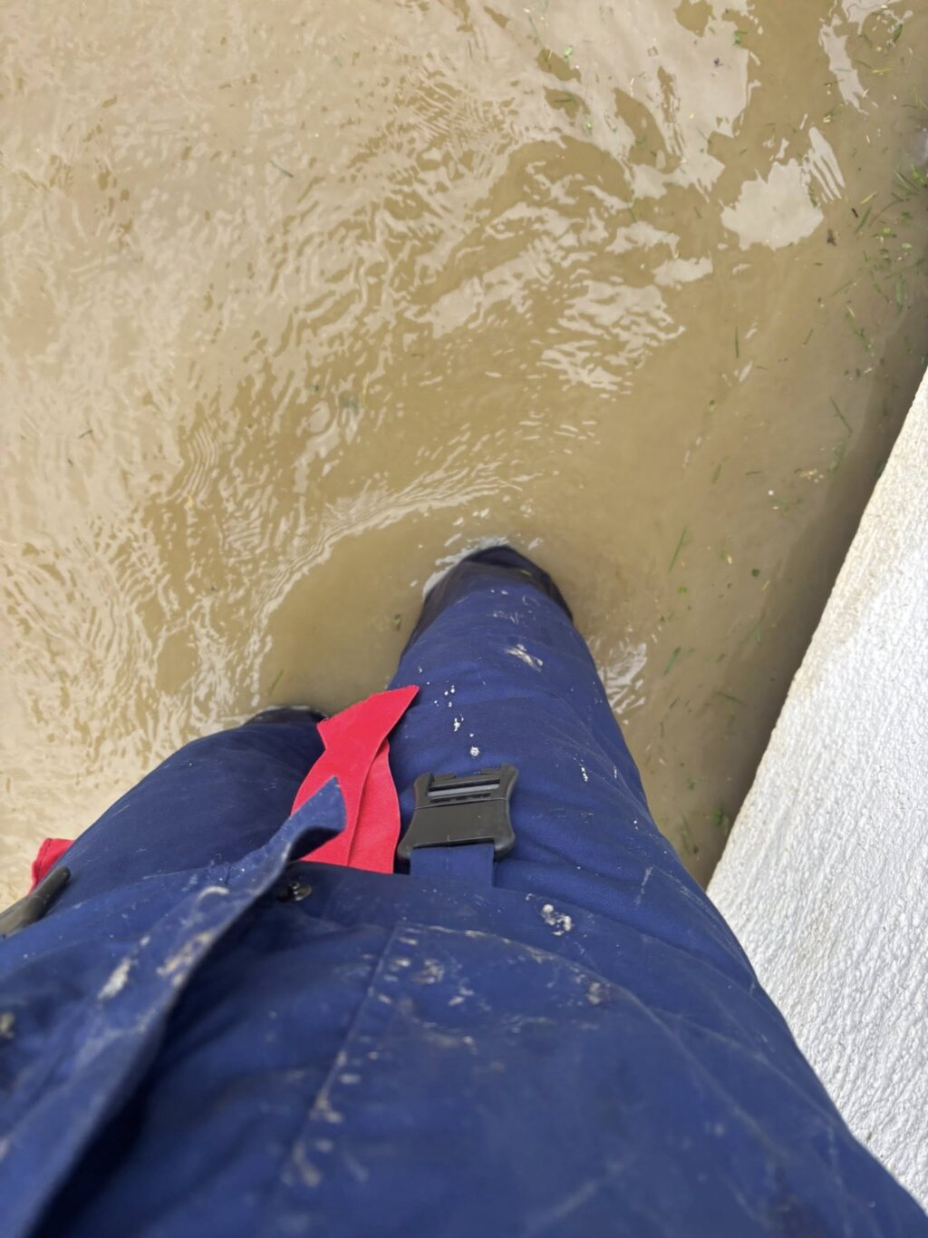 657352407 122103890690982397 4934176874858509404 N