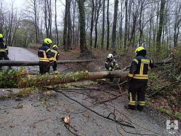 658025444 949219637617186 226249754198793849 N