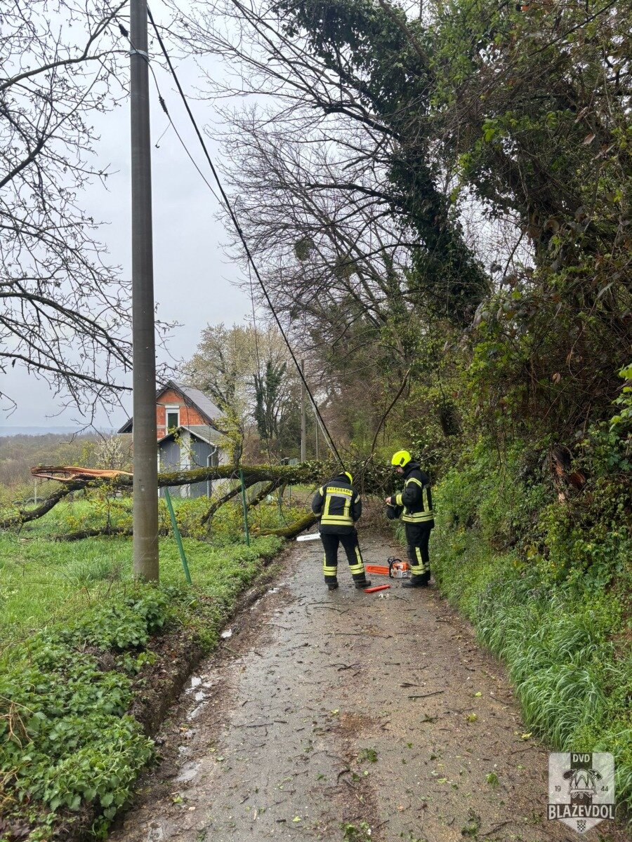 658209836 949219927617157 1484129485424402321 N