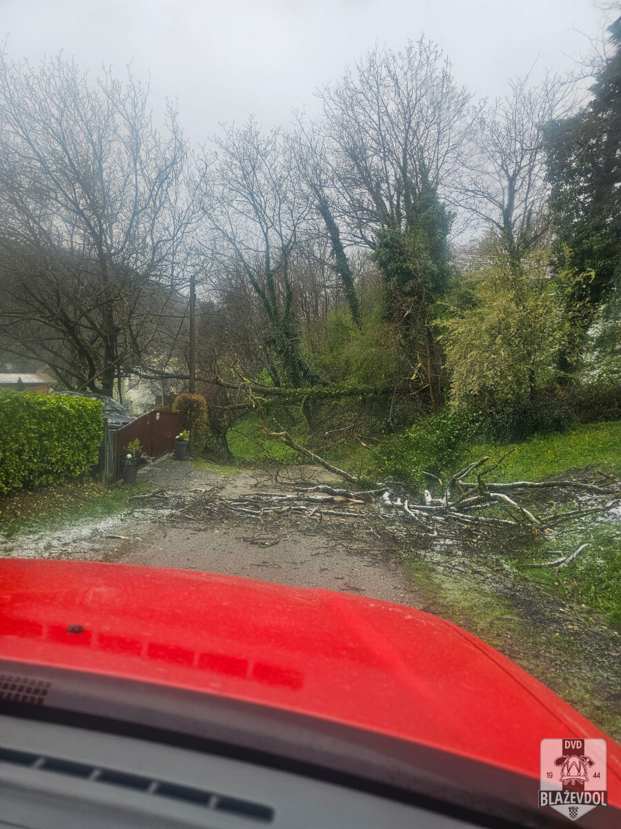 658785781 949219800950503 874587603930600503 N