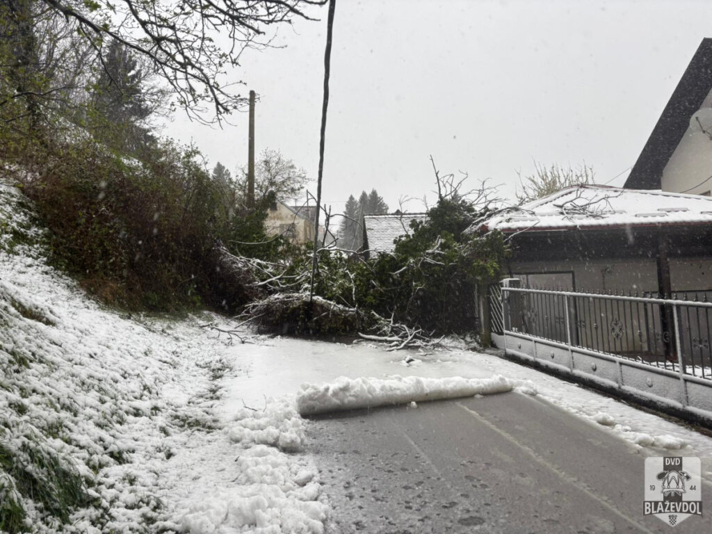 658810196 949219877617162 4328591743511399344 N