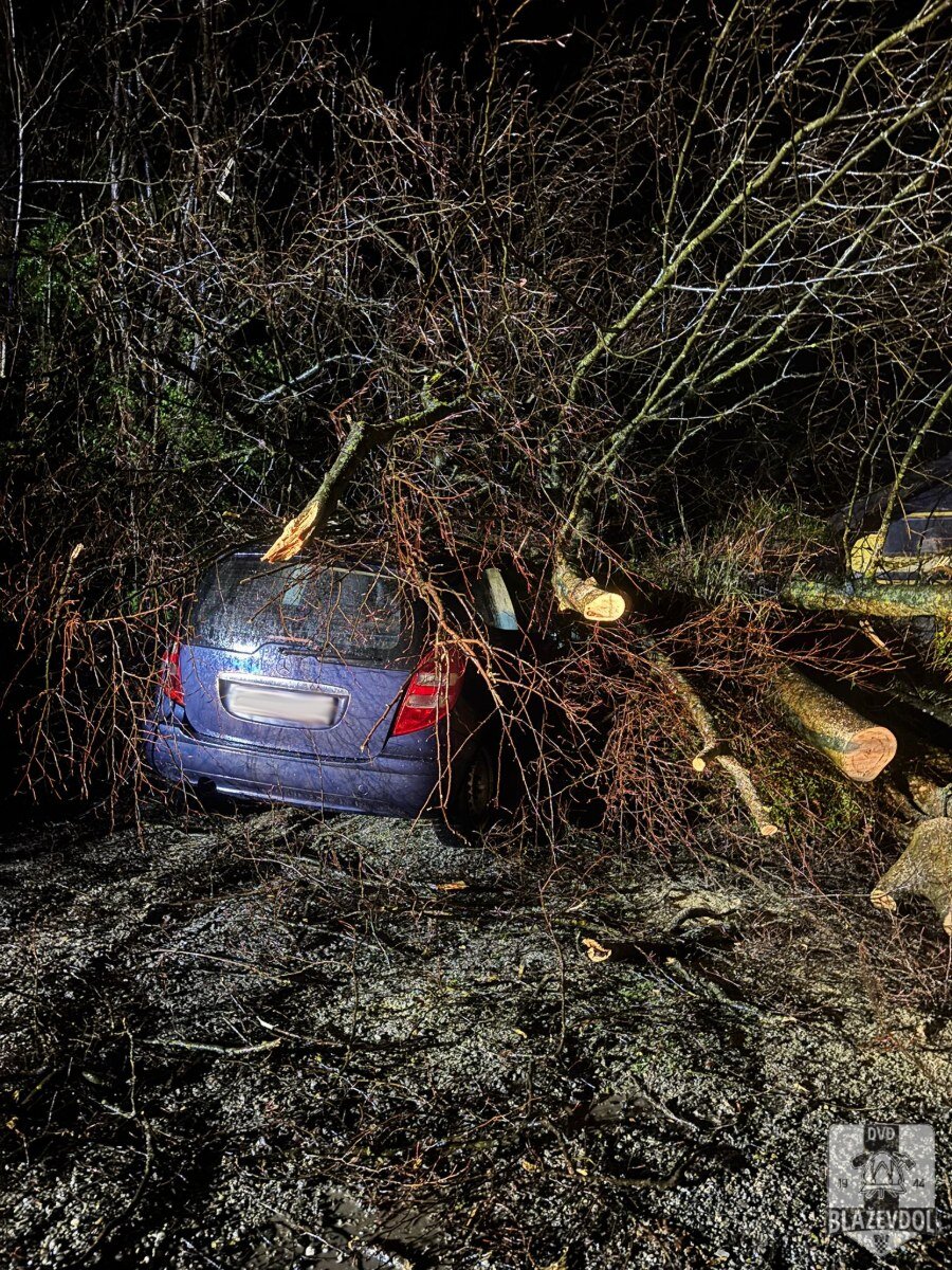 659518188 949219724283844 54712009207135282 N