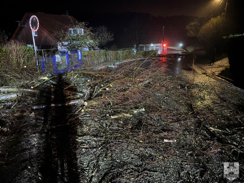 659691920 949219677617182 7262021254209024127 N