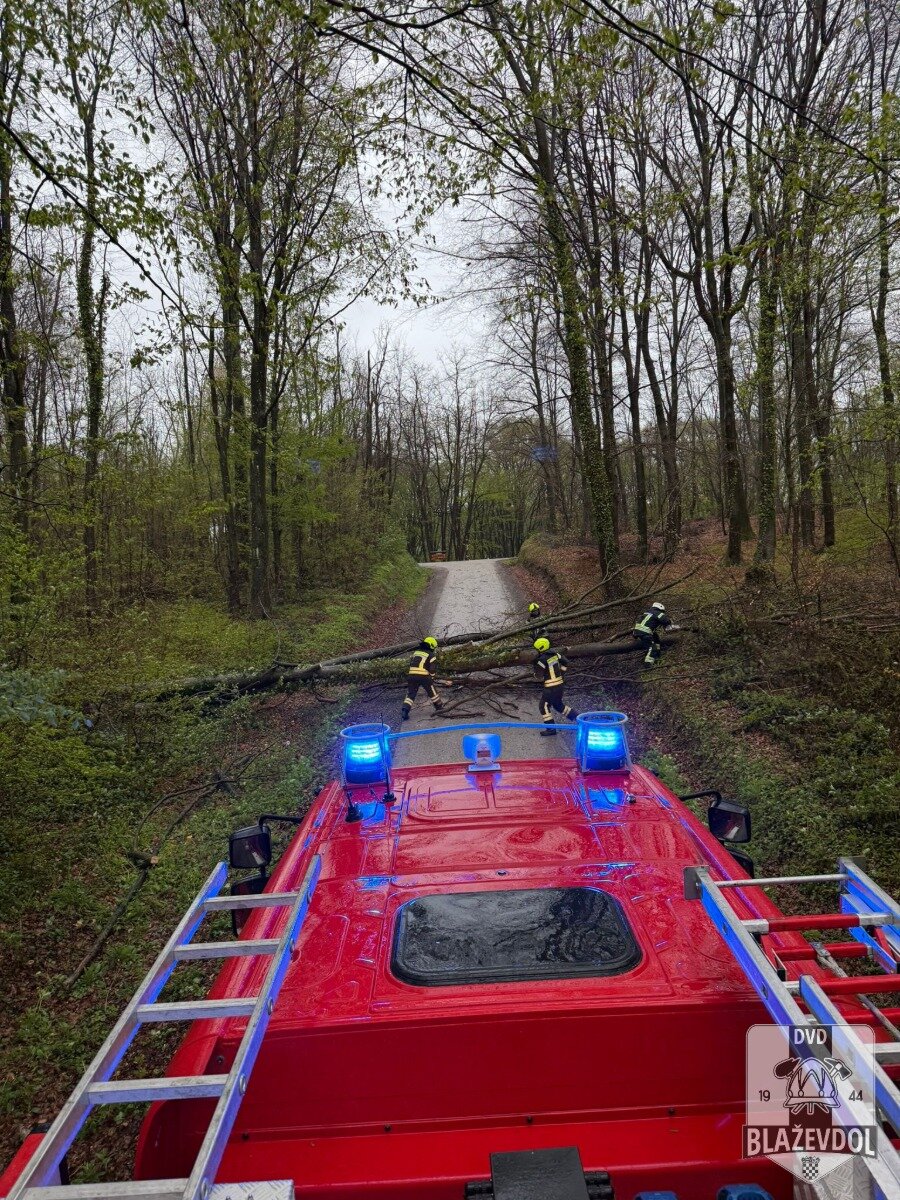 660534606 949219620950521 6277971922631474607 N