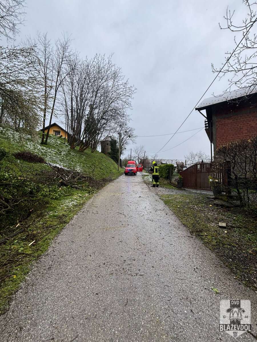 661450265 949219967617153 603467406914589333 N