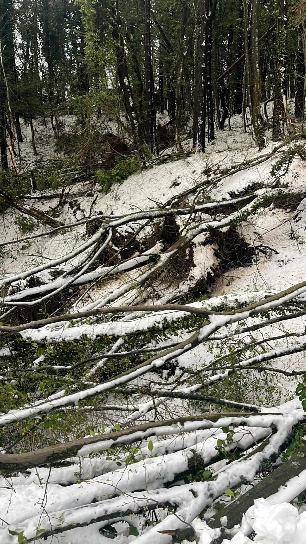 9292bd20 3f8a 4065 811c 7a06a5d86ca3