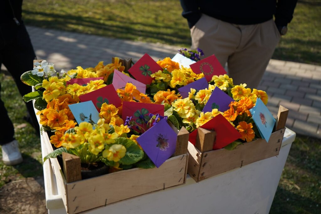 Photo 2026 03 08 14 37 54