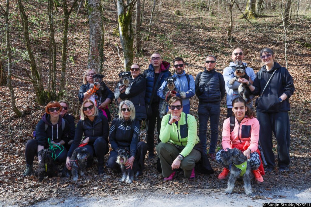 [VIDEO] Održano druženje patuljastih šnaucera