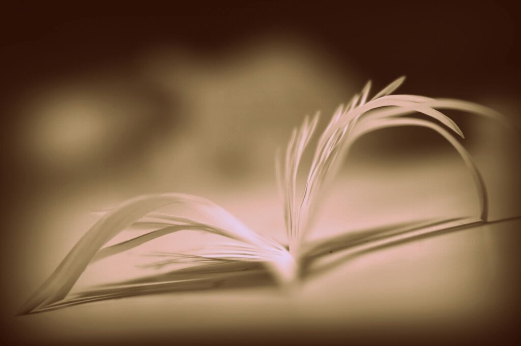 Whatsapp Image 2026 03 02 At 10.16.55 (1)