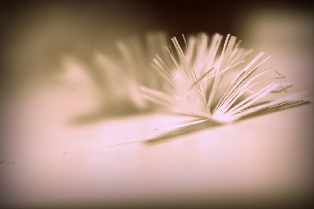 Whatsapp Image 2026 03 02 At 10.16.55 (2)