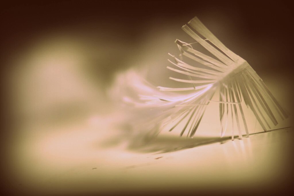 Whatsapp Image 2026 03 02 At 10.16.55 (3)