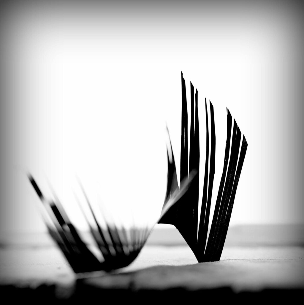 Whatsapp Image 2026 03 02 At 10.16.55 (4)