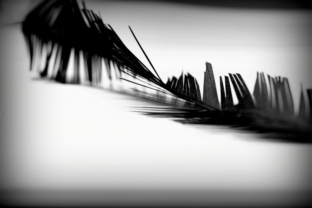 Whatsapp Image 2026 03 02 At 10.16.55 (6)