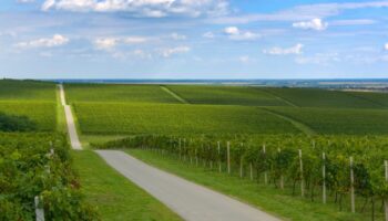 Whatsapp Image 2026 03 04 At 08.34.23