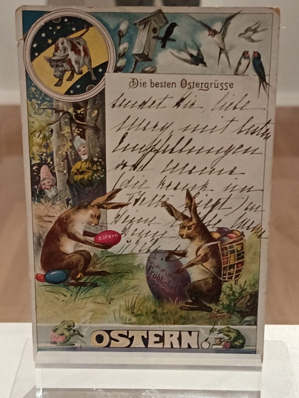 Whatsapp Image 2026 03 19 At 07.49.14 (5)