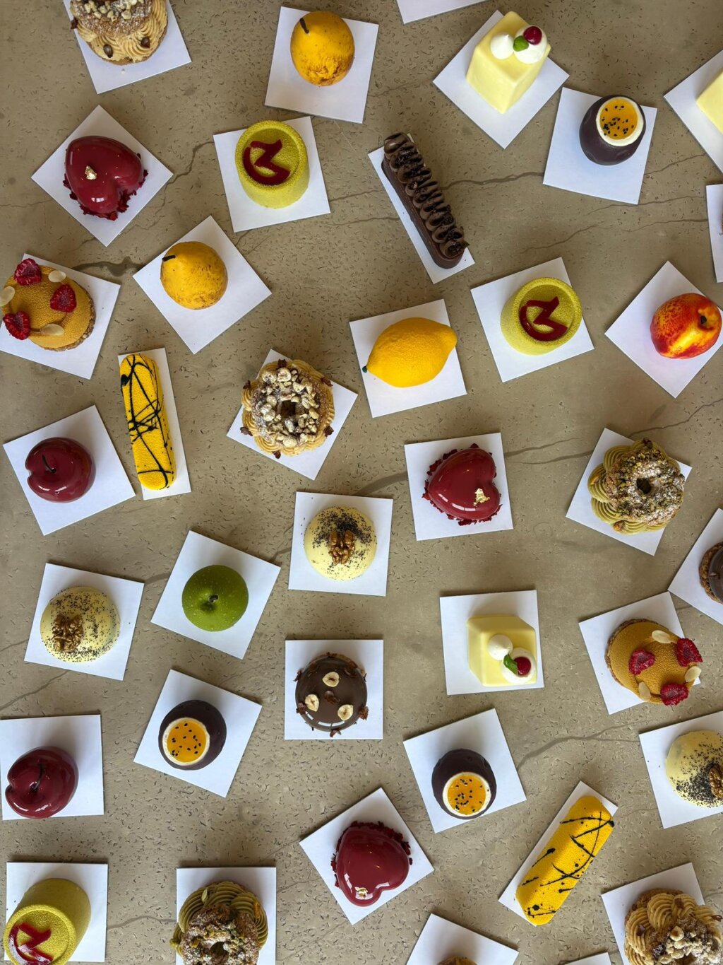 Whatsapp Image 2026 03 19 At 17.22.53