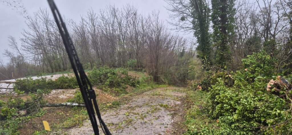 Whatsapp Image 2026 03 27 At 11.53.50 1 1536x709