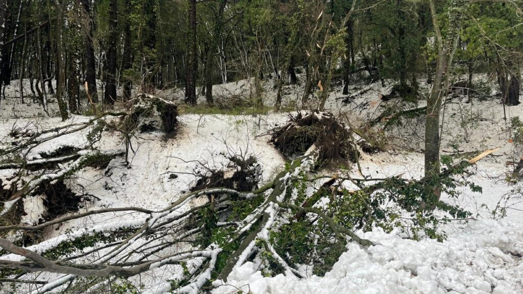 B842d8fa C563 477b 98b3 944dfa928bd2