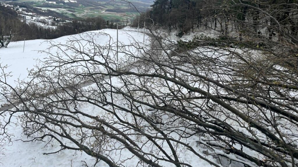 B8446763 B17d 4f2e Abba 14be151d89d9