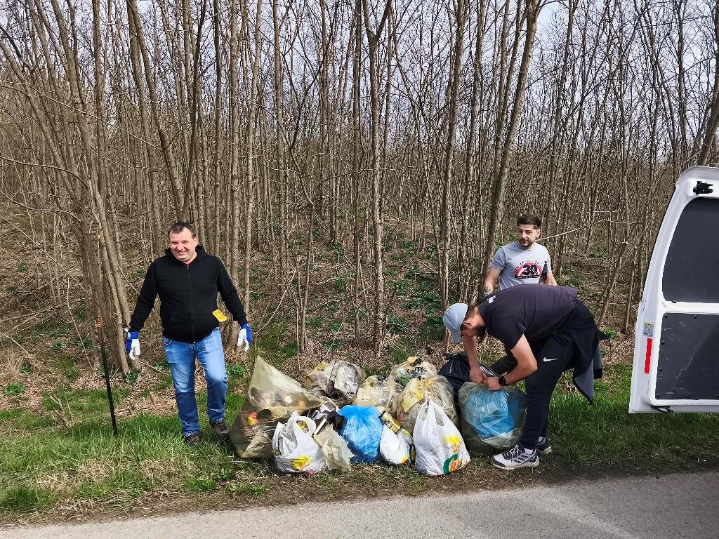 Bc812445 B391 4d07 9472 01aa56db1f16