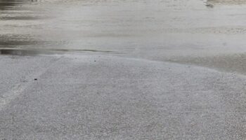 Cesta Poplava Kiša Nevrijeme Ilustracija