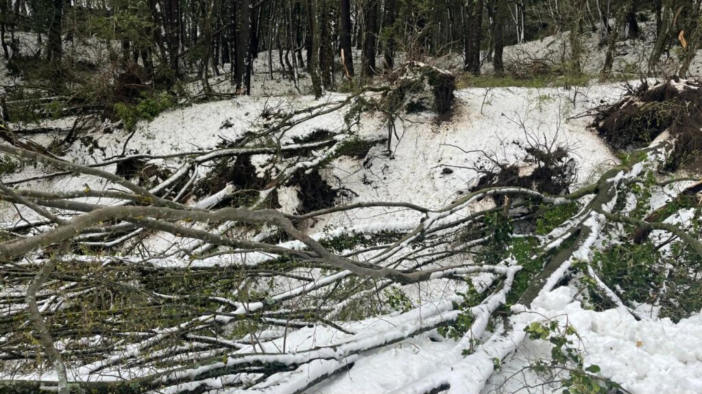 E30306e6 1041 47d9 96fe F68e8df6d071