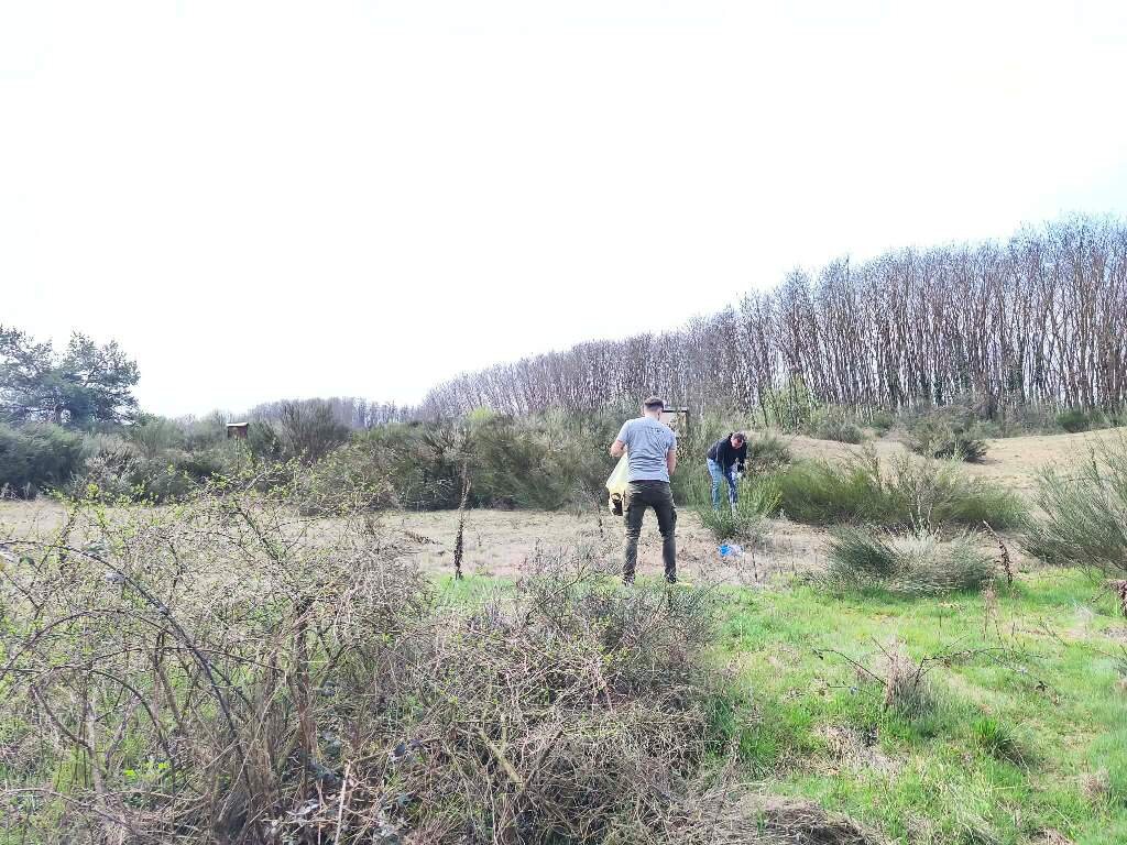 Fe8cdfc3 53da 4b2c B9c4 03ab020940bd