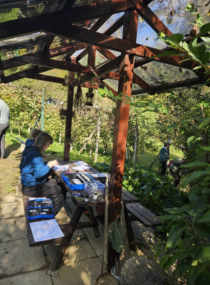 Naj Skolski Vrtovi Nagrada Prva Privatna Gimnazija Vz 2026 3