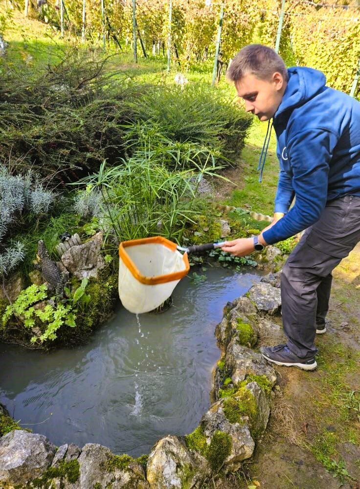 Naj Skolski Vrtovi Nagrada Prva Privatna Gimnazija Vz 2026 4