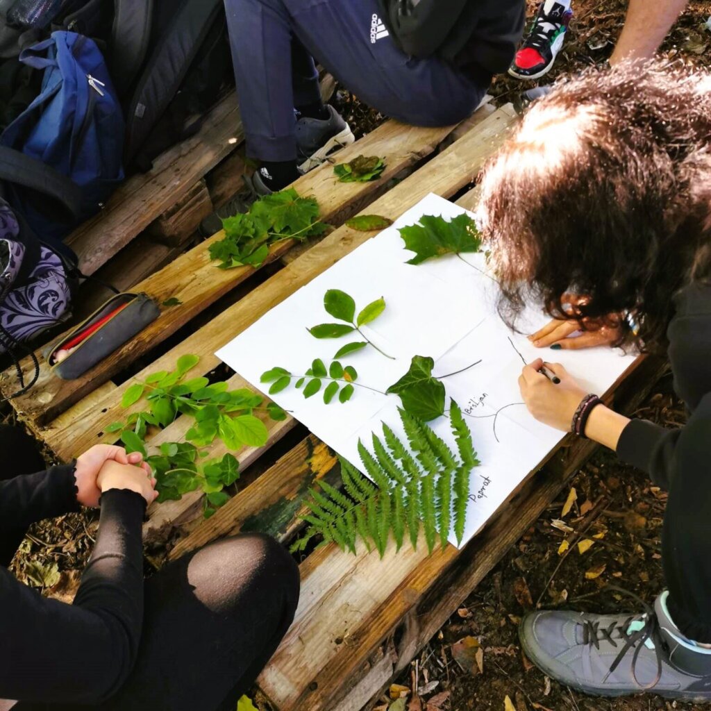 Naj Skolski Vrtovi Nagrada Prva Privatna Gimnazija Vz 2026 5