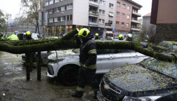 Zagreb: Nevrijeme I Jak Vjetar Ruše Drveće Koje Pada Po Automobilima