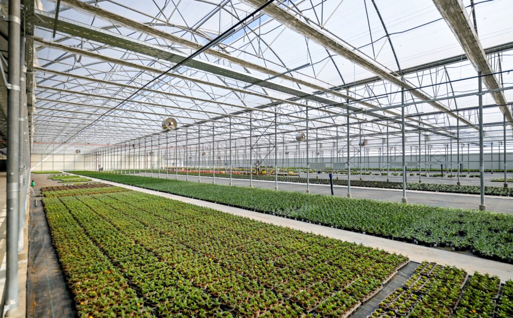 Poljoprivreda Ilustracija