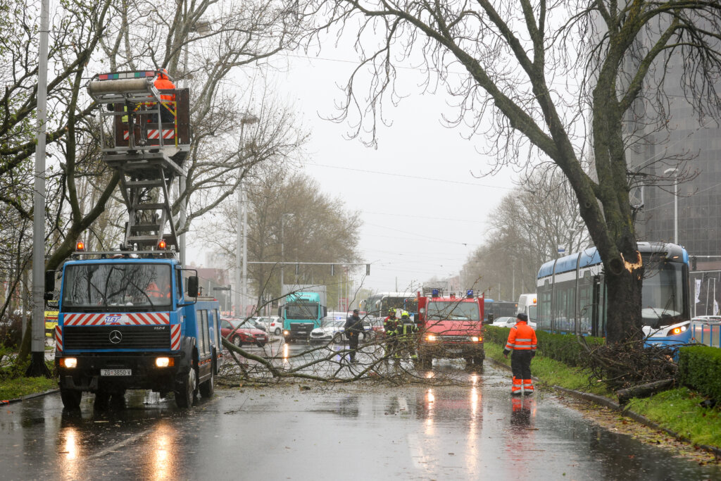 Zagreb: Zatvorena Vukovarska Ulica U Smjeru Zapada Radi Uklanjanja Stabla