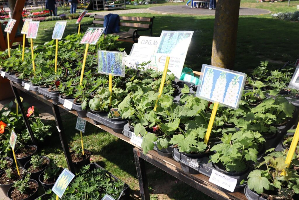 1069f243 9c6f 4aec Aefb 07a766369010